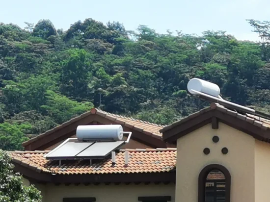 Calentador de agua solar de los géiseres del panel plano del sistema de calor solar de alta eficiencia